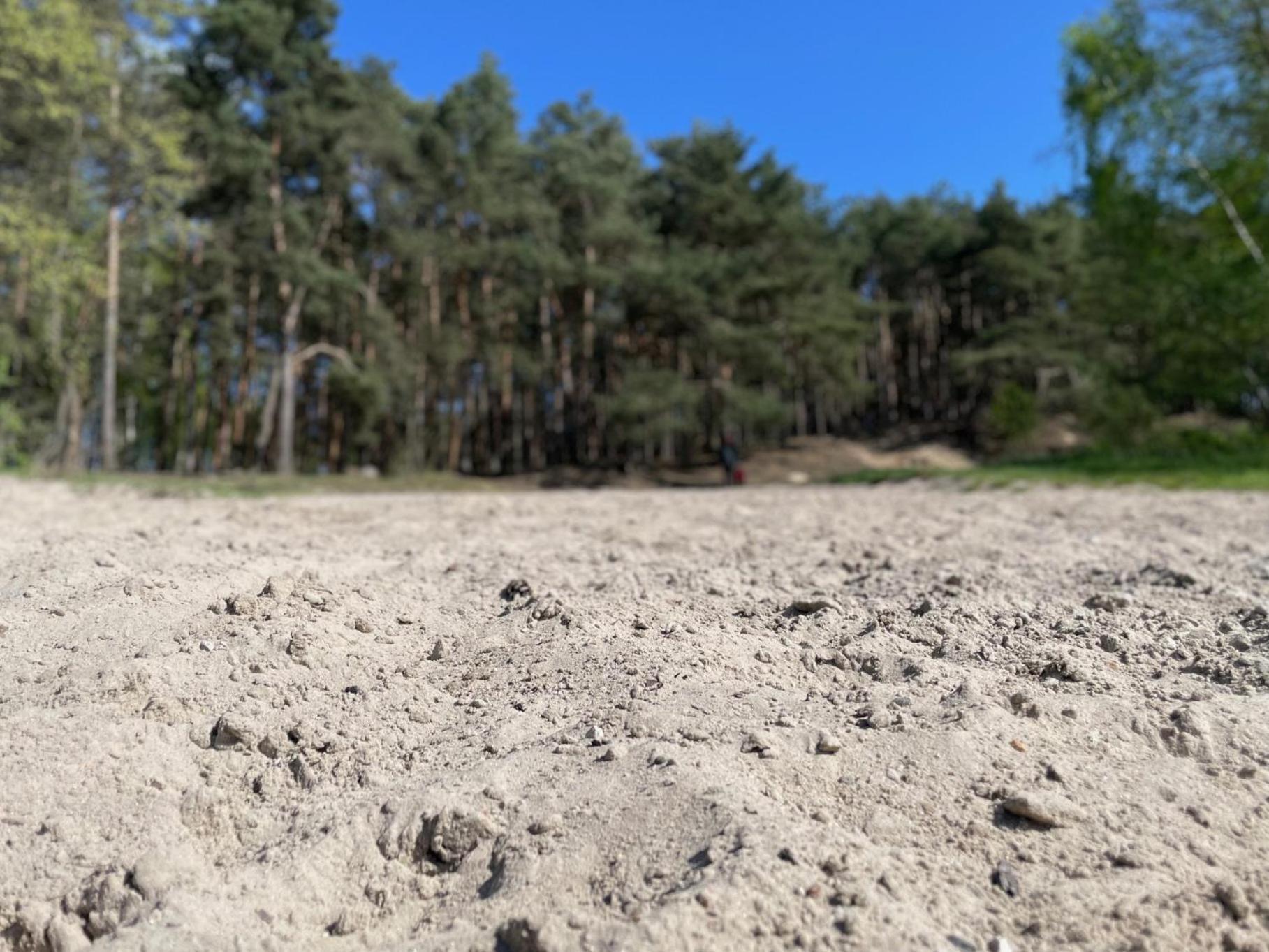 Natura Domki Anastazewo Eksteriør billede